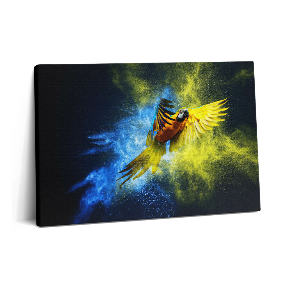 Canvas kép 60x40 Színes papagáj