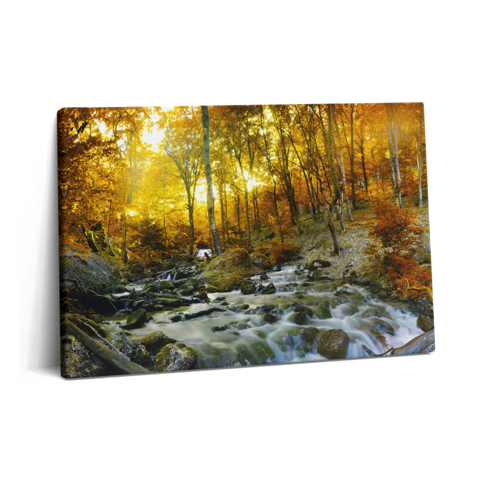 Canvas kép 60x40 őszi erdő