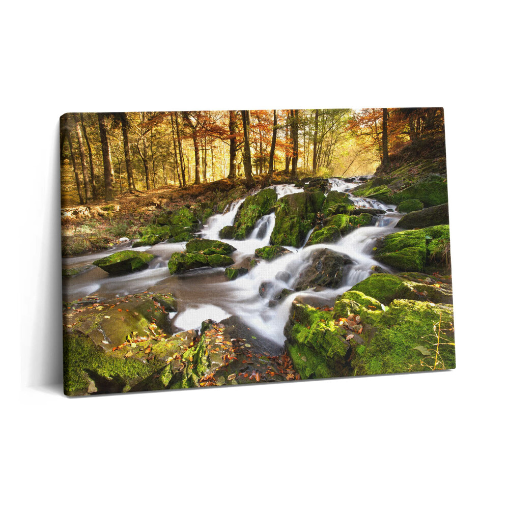 Canvas kép 60x40 Patak az őszi erdőben