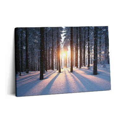 Canvas kép 60x40 Naplemente és erdő télen