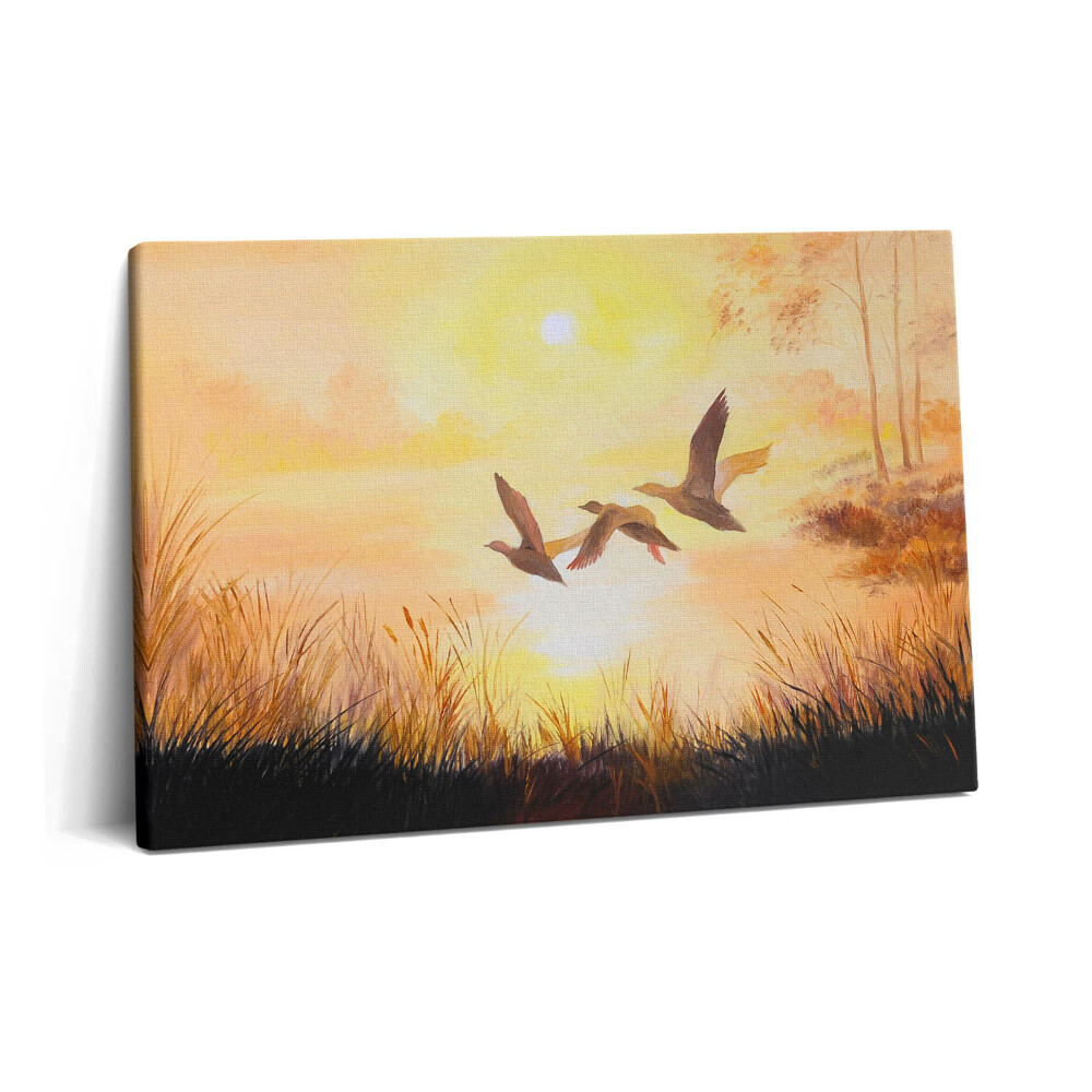 Canvas kép 60x40 Daruk naplementében