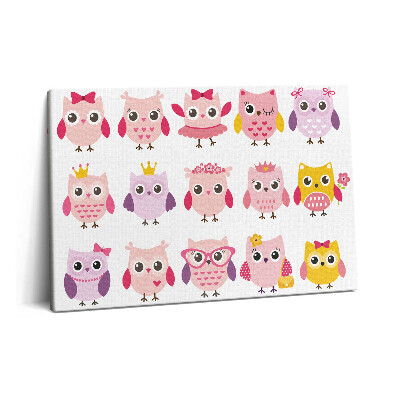 Canvas kép 60x40 Színes baglyok