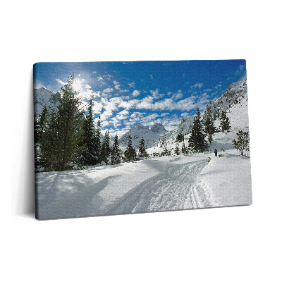 Canvas kép 60x40 Hegyvidéki táj télen