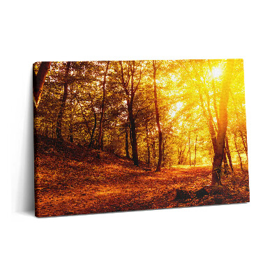 Canvas kép 60x40 Őszi tájkép naplementével