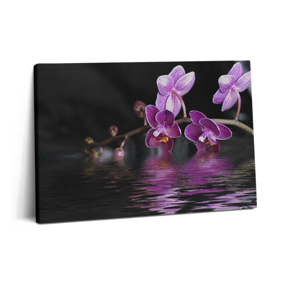 Canvas kép 60x40 Rózsaszín orchidea virág a vízen