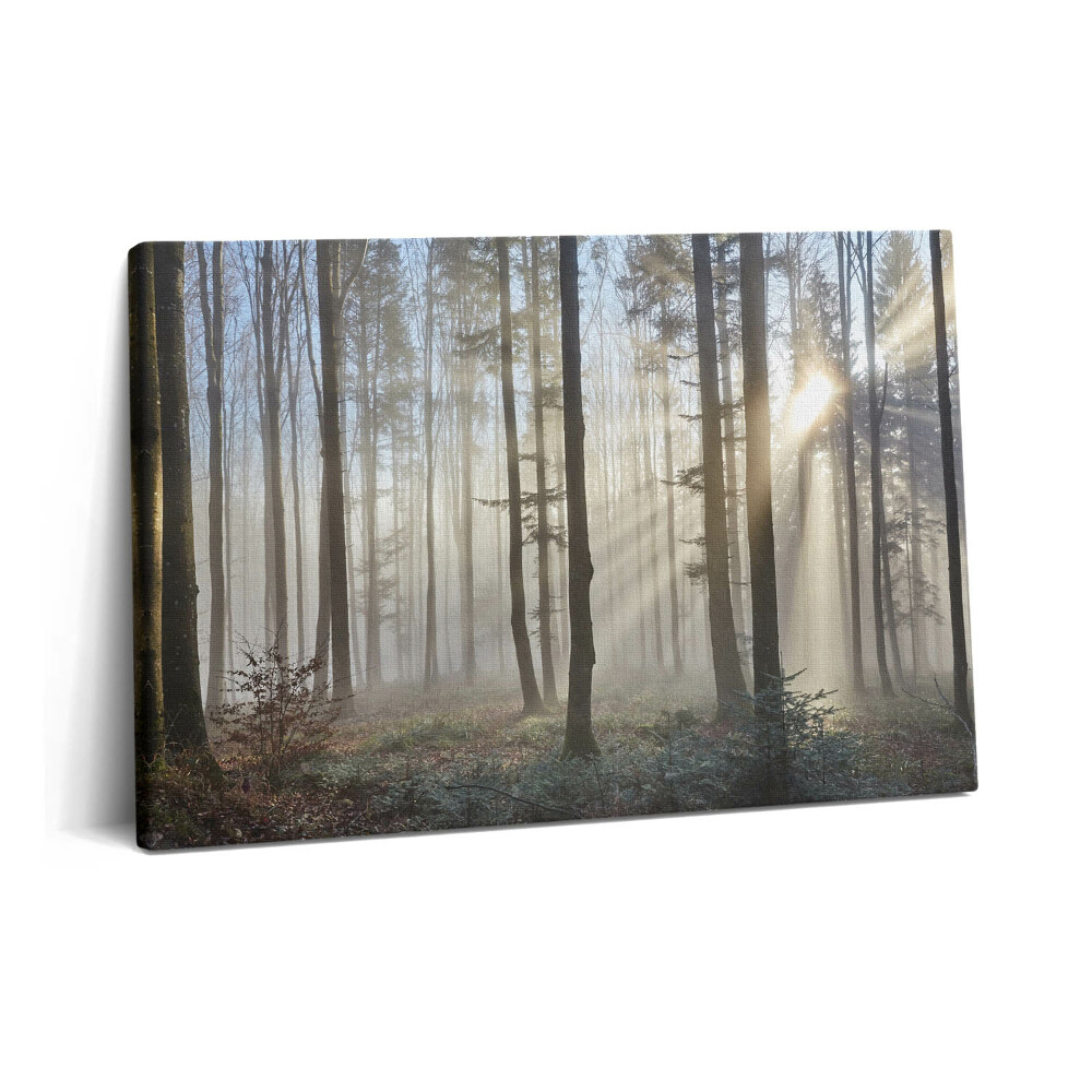 Canvas kép 60x40 Erdő a ködben