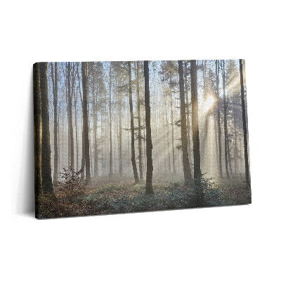 Canvas kép 60x40 Erdő a ködben