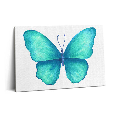 Canvas kép 60x40 Türkizkék nyári pillangó