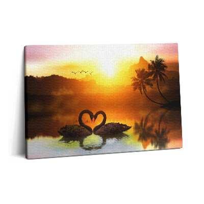 Canvas kép 60x40 Gyönyörű fekete hattyú a tavon