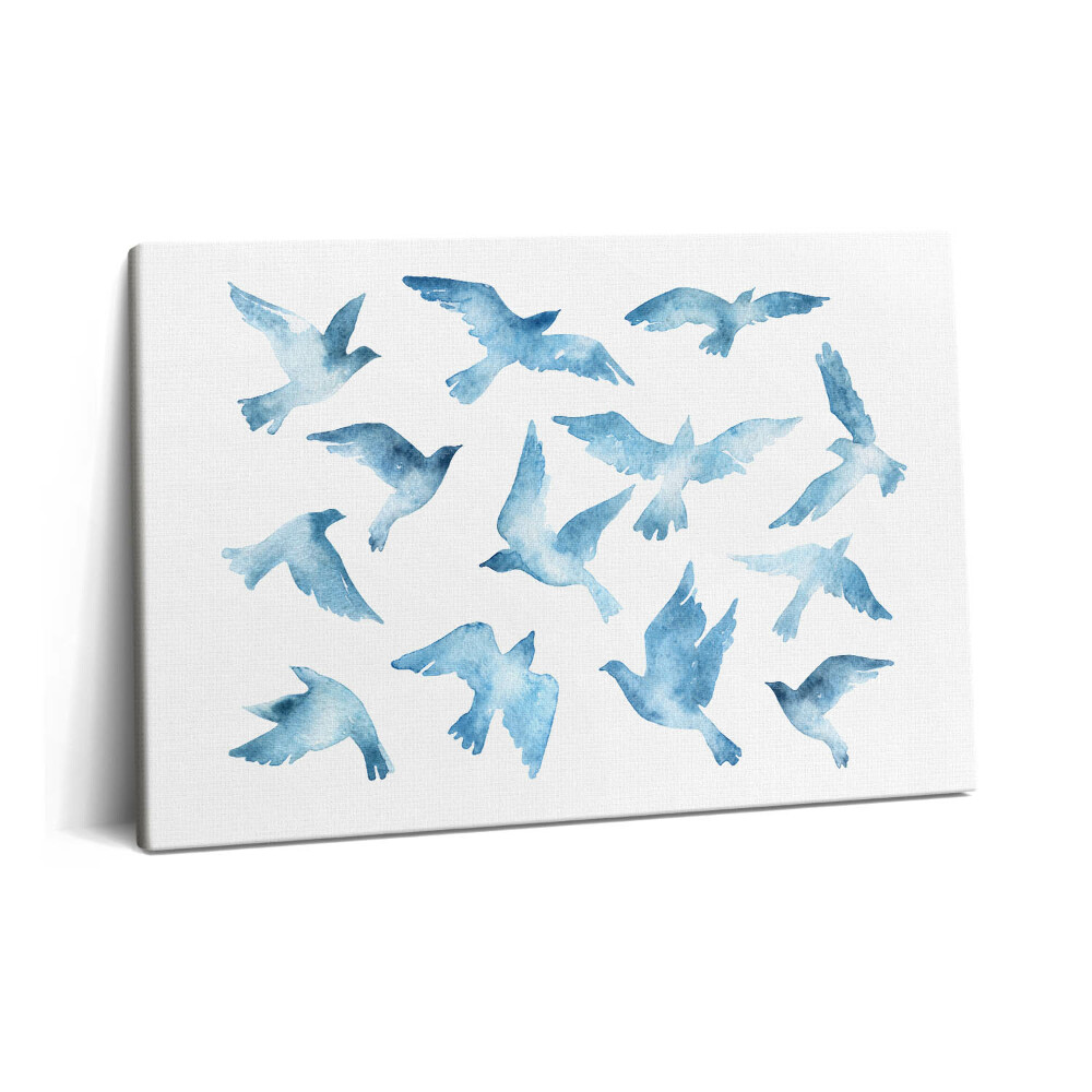 Canvas kép 60x40 A levegőben repülő madarak