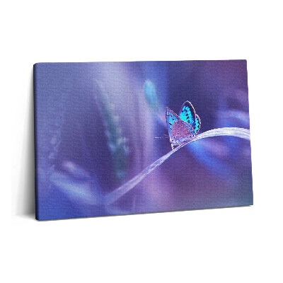 Canvas kép 60x40 Pillangó a fűben