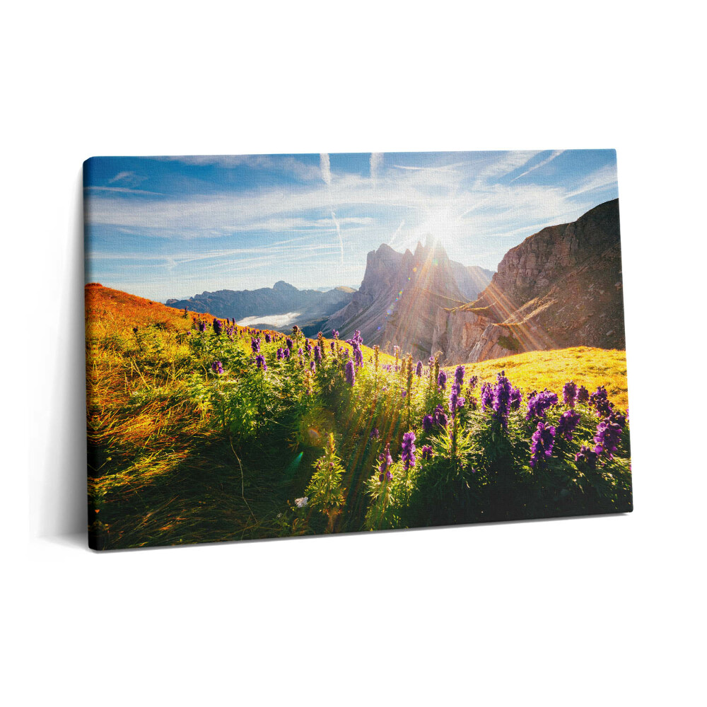 Canvas kép 60x40 Levendula rét