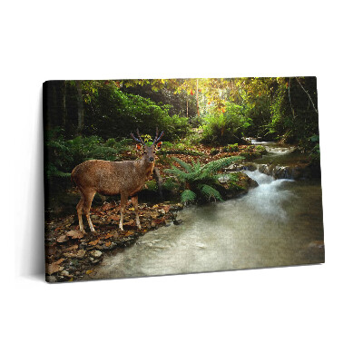 Canvas kép 60x40 Trópusi patak és szarvasok
