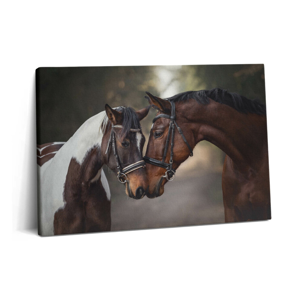 Canvas kép 60x40 Lovak portréja az erdőben