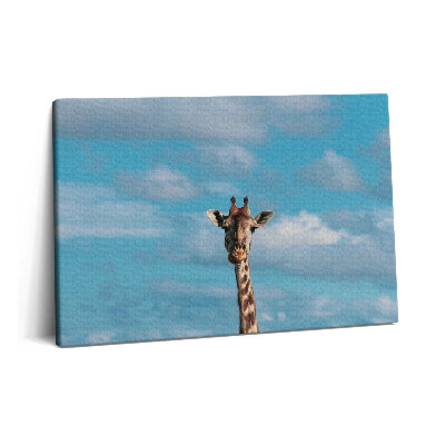 Canvas kép 60x40 Zsiráffej az égen