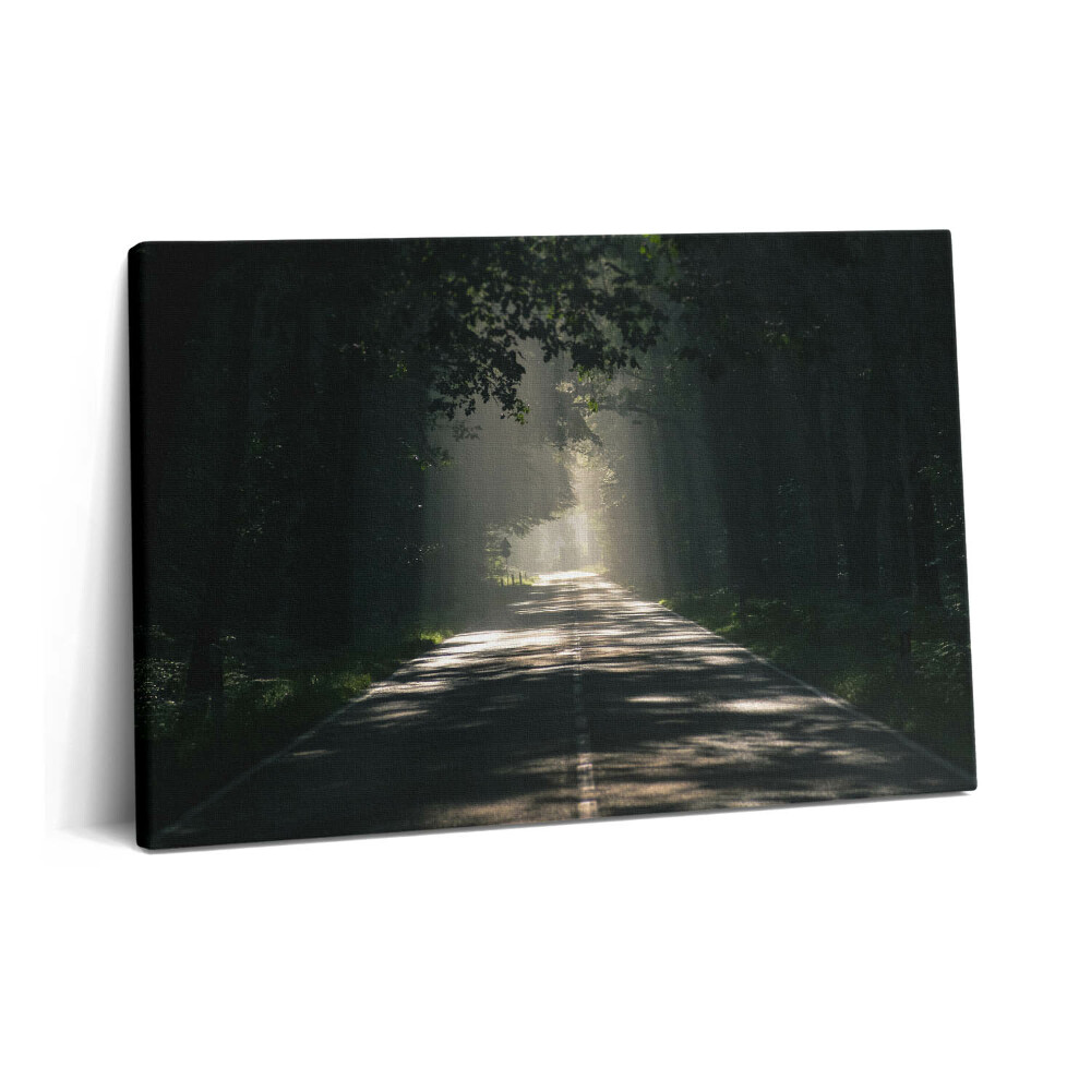 Canvas kép 60x40 Erdei út és napfénycsíkok