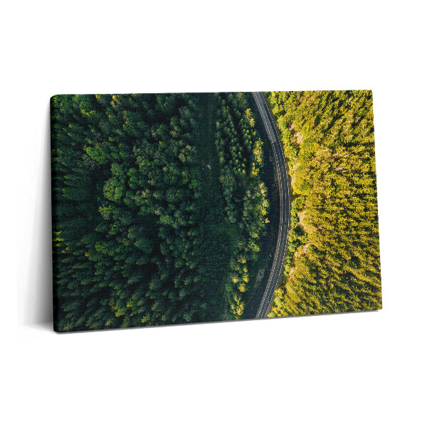 Canvas kép 60x40 Erdő drónról - Hóhegy