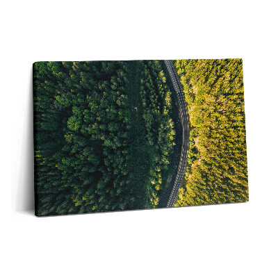 Canvas kép 60x40 Erdő drónról - Hóhegy