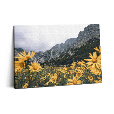 Canvas kép 60x40 Virágos rét a Tátrában