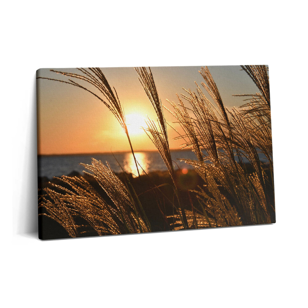 Canvas kép 60x40 Búza az arany órában