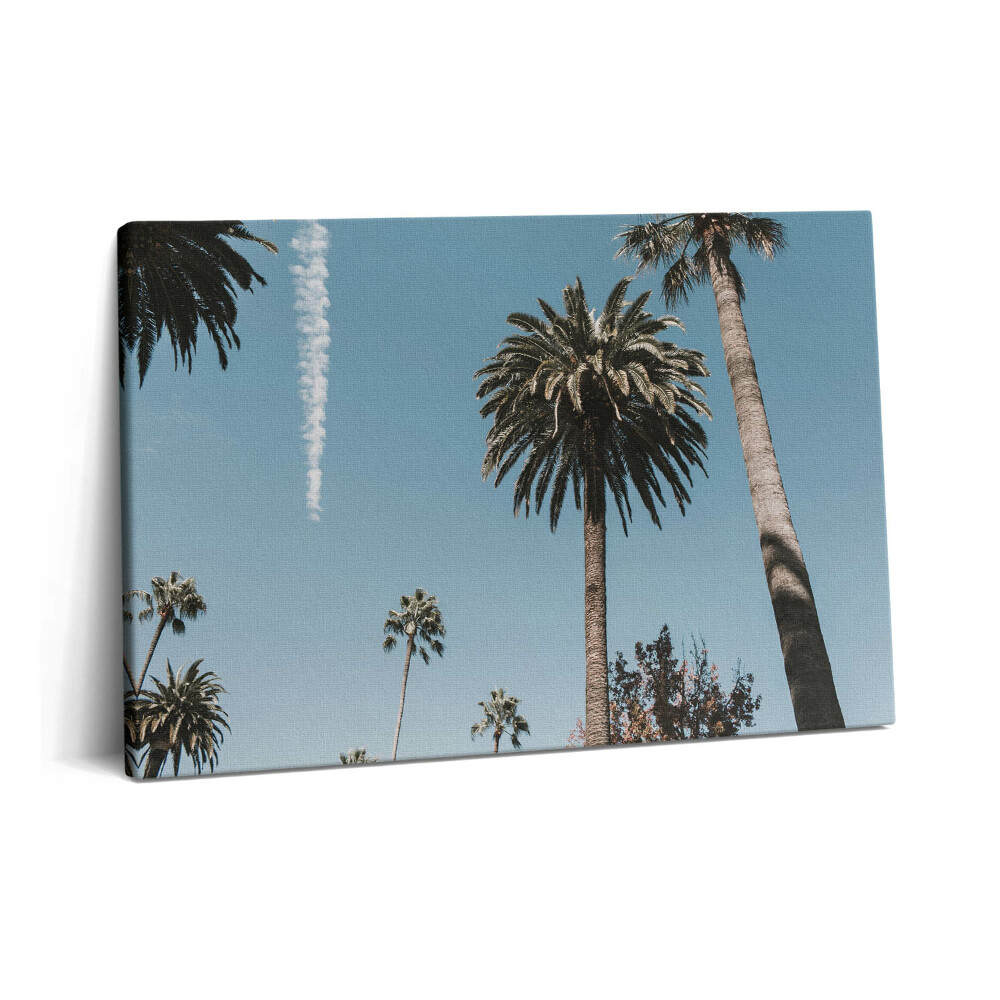 Canvas kép 60x40 Pálmafák Los Angelesben