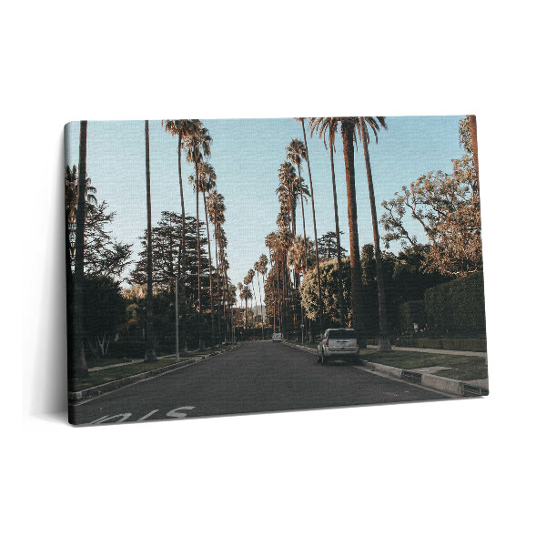 Canvas kép 60x40 Jármű az úton a fák között