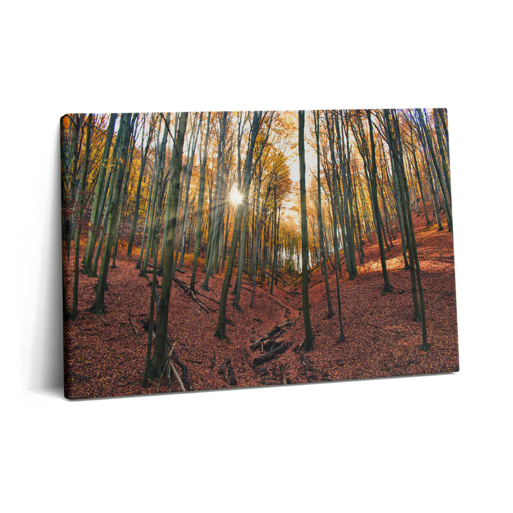 Canvas kép 60x40 Naplemente és fák