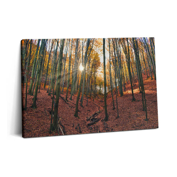 Canvas kép 60x40 Naplemente és fák