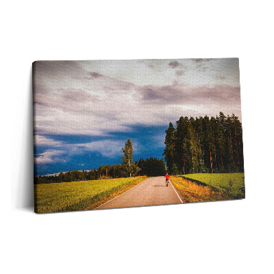 Canvas kép 60x40 Rendezett kerékpárút