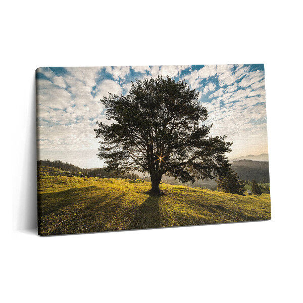 Canvas kép 60x40 Lombos fa egy dombon