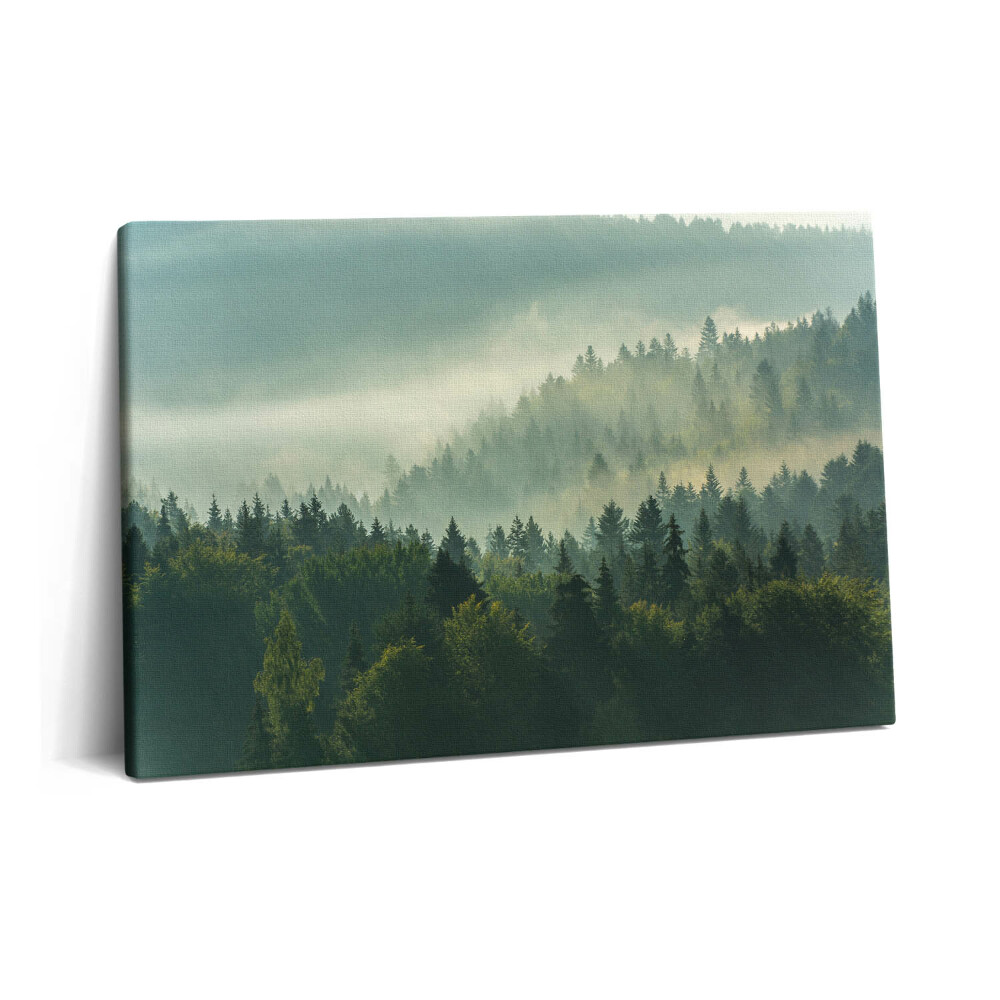 Canvas kép 60x40 Beszkidek napfelkeltekor