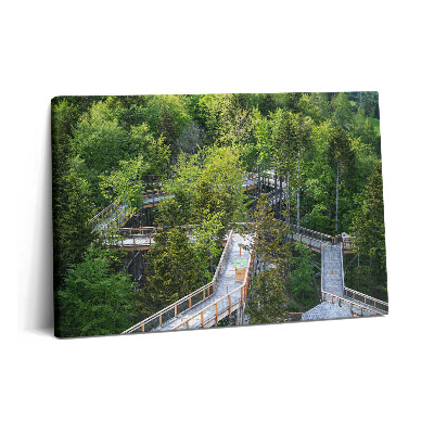 Canvas kép 60x40 Ösvény Krynica Zdrojban