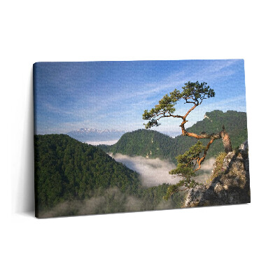 Canvas kép 60x40 Sokolica-csúcs Pieninyben