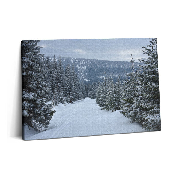 Canvas kép 60x40 Cseh óriás hegyek télen