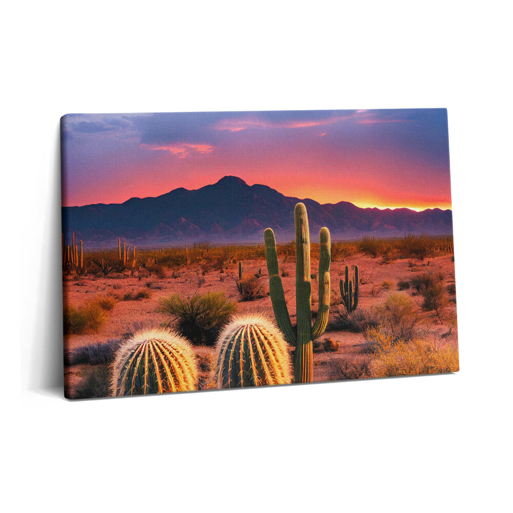 Canvas kép 60x40 Naplemente a sivatagban