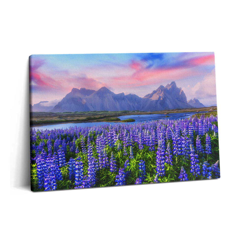 Canvas kép 60x40 Levendulamezők - Izland