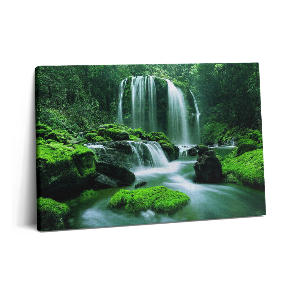 Canvas kép 60x40 Vízesés mohák között