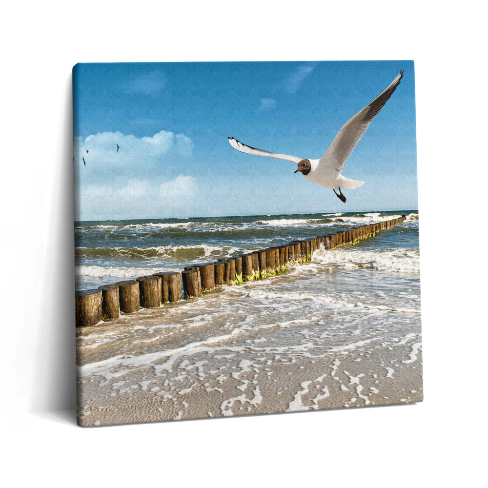 Vászonkép 60x60 Madár a tengerparton
