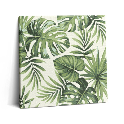 Vászonkép 60x60 Monstera levél illusztráció