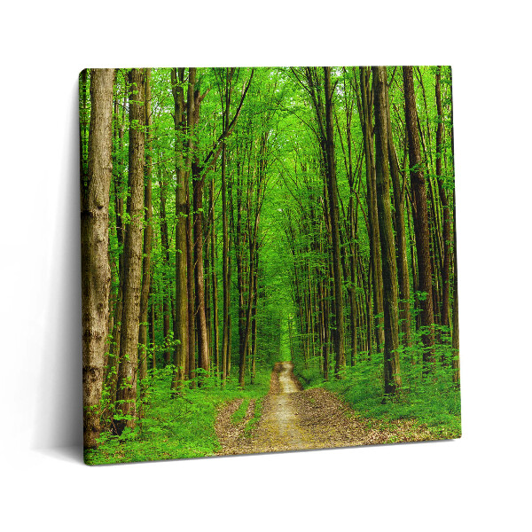 Vászonkép 60x60 Erdei ösvény a fák között