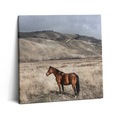 Vászonkép 60x60 Ménes a fű között