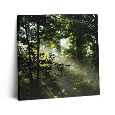 Vászonkép 60x60 Napsugarak és fák