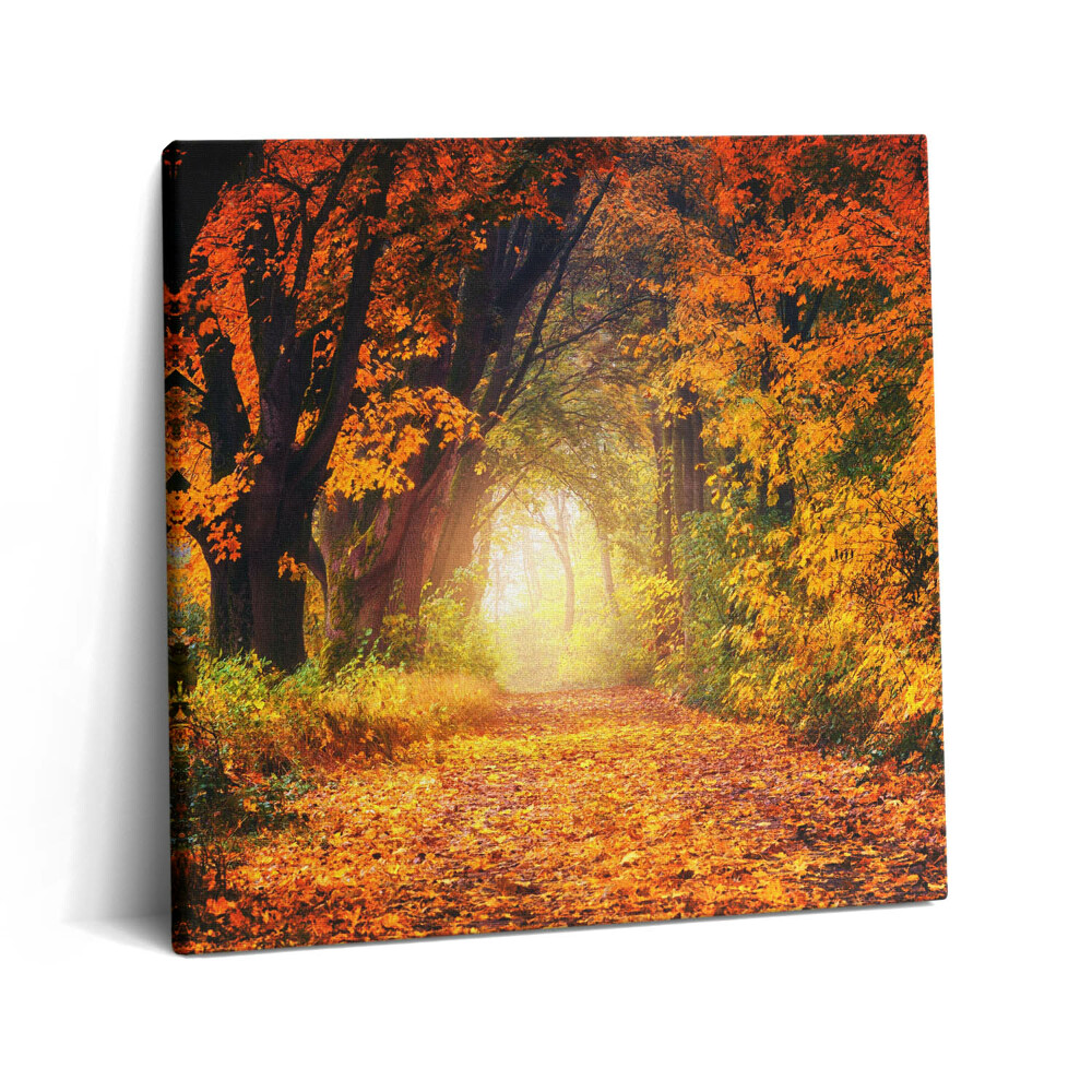 Vászonkép 60x60 Őszi levelekből álló erdei alagút