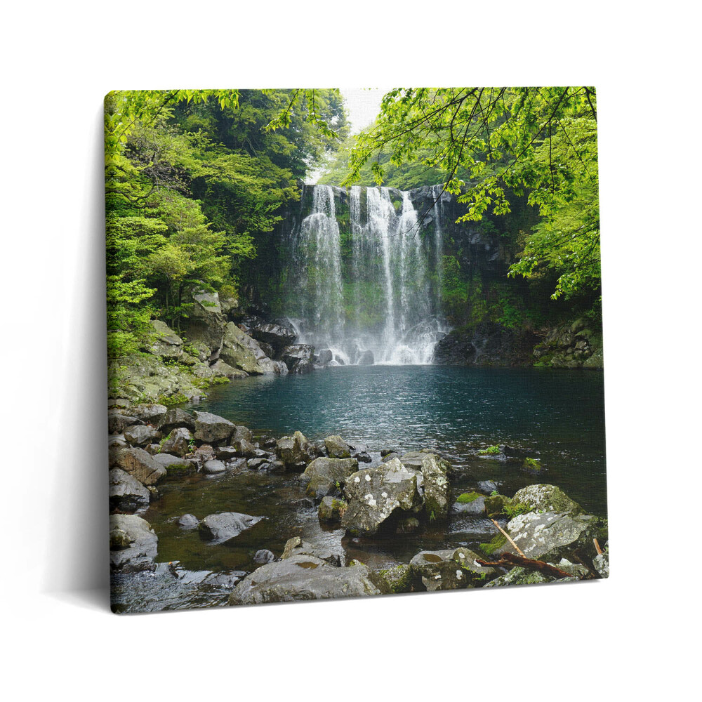 Vászonkép 60x60 Vízesés és folyó a fák között