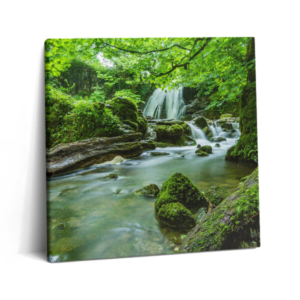 Vászonkép 60x60 Vízesés a vad dzsungelben
