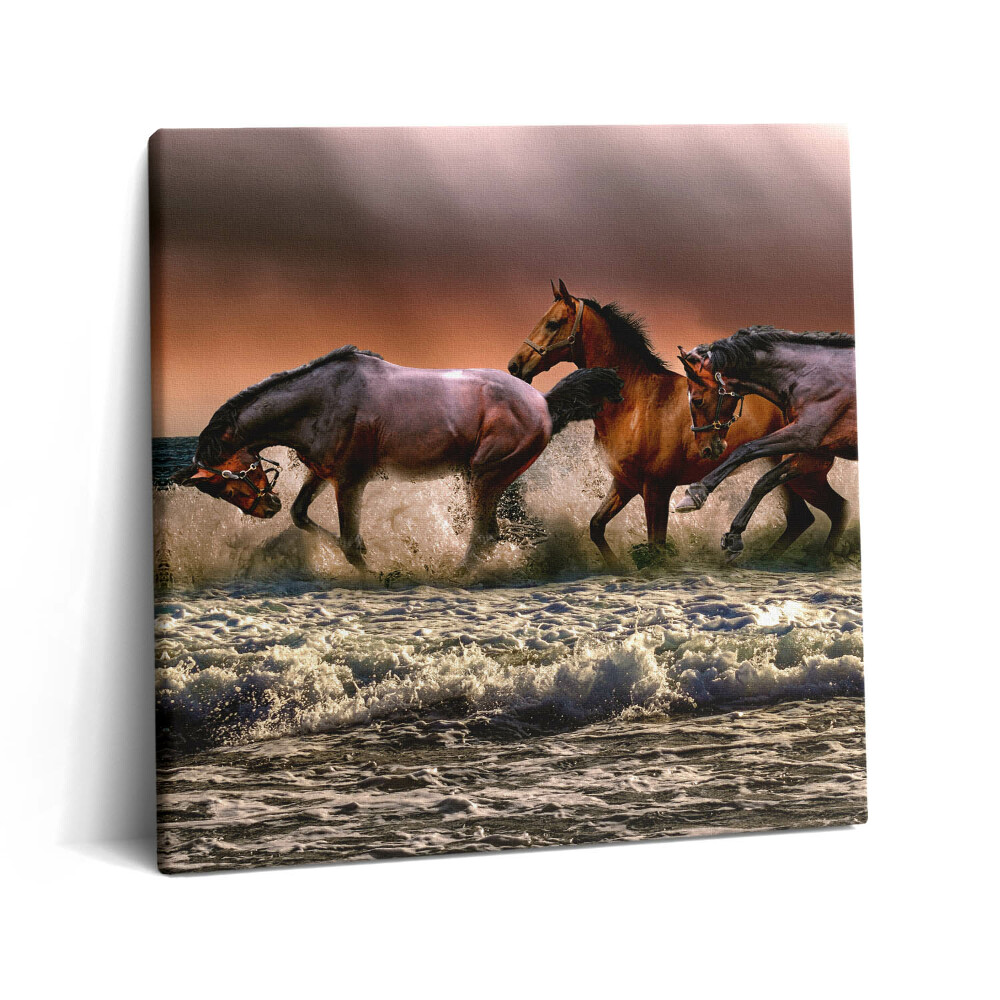 Vászonkép 60x60 Vízbe bukott lovak