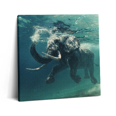 Vászonkép 60x60 Afrikai elefánt a vízben