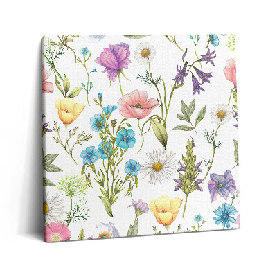 Vászonkép 60x60 Virágillusztráció - virágos rét