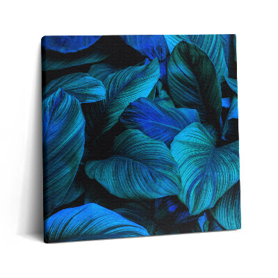 Vászonkép 60x60 Trópusi természet