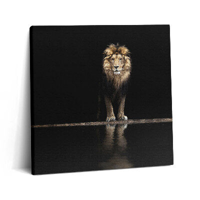 Vászonkép 60x60 Magányos vadállat oroszlán